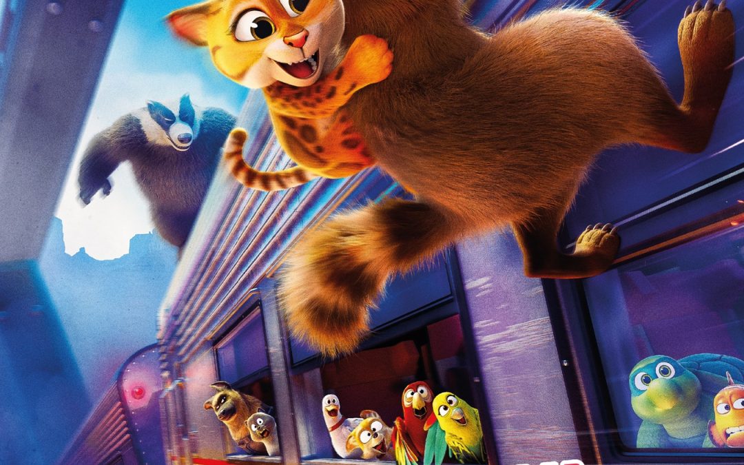 Evcil Hayvanlar Yolda